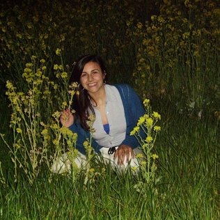 AMM15