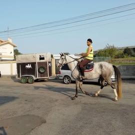 Caganito