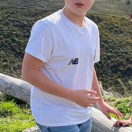 Dvieira