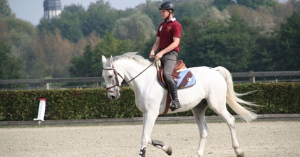 Casting de homens maiores de idade com experiência em hipismo para próximo filme