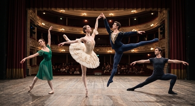 Casting para bailarinos profissionais e equipa técnica para digressão mundial 2027-2028