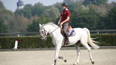 Casting de homens maiores de idade com experiência em hipismo para próximo filme