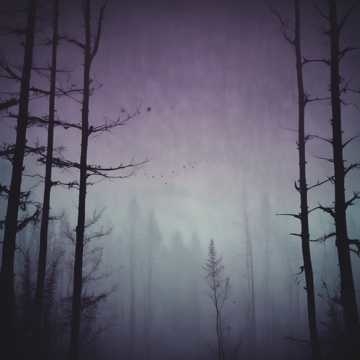 katlinnazar - Quem Sou Eu