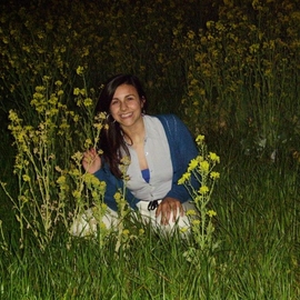 AMM15